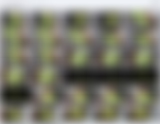 [OnlyFans.com AnaSivona - Update May 31 2023/Video Screens/0gx3nvr2aremg5v8w5zes_source.mp4.jpg