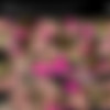 Maximo Garcia - PART 1 - MegaPACK by SoreForDays/SCR - P1
