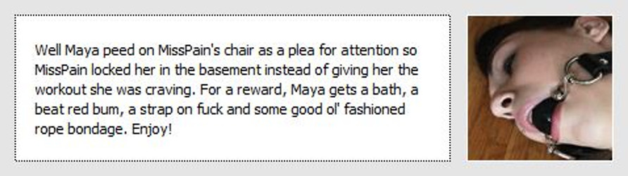 [SEG] Maya/MissPain/Maya - MISSPAIN.jpg