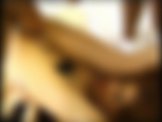 There's Something About Jack 6 (2000) [DVD5]/screens/title_t01.mkv_201.gif