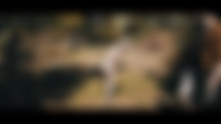 FancySteel/Fancy Steel - The Farm 3.mp4
