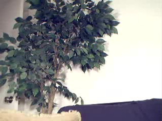 Lexi Lapetina/Lexi Lapetina - 51506 (240p).mkv