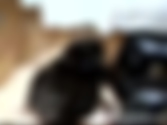 [SEG] Maya/MissPain/clip_1_high_all.wmv